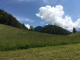 Über saftige Wiesen geht es vom Hagenhof zur <a href=/freizeit/jausenstation-maier-221/>Jausenstation Maier</a> (Foto gespeichert zu <a href=/wanderweg/hagenhof-jausenstation-maier-3335/>Weg</a>),#
