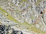 Zum <a href=/freizeit/zinkwandstollen-west-lungau-56118/>Zinkwandstollen West</a>  (oben rechts),#
