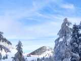 Blick über den <b>Nachberg Hochleger</b>  zum <a href=/gipfel/zunterkoepfl-6606/>Zunterköpfl</a> (Foto gespeichert zu <a href=/wanderweg/ascherjoechl-nachberg-hochleger-22455/>Weg</a>),#