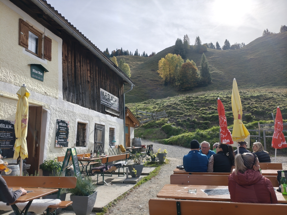 Wanderung Möslalmkreuz: Wanderung Möslalmkreuz: Möslalm (Almgasthof Möslalm)