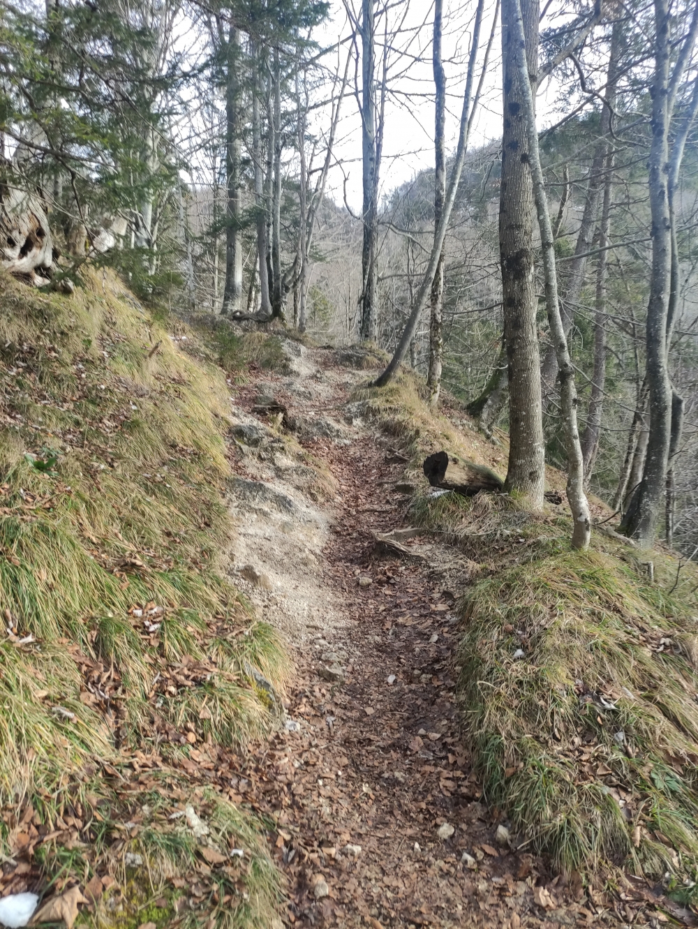 Wanderung Almkogel: Eibenseeweg