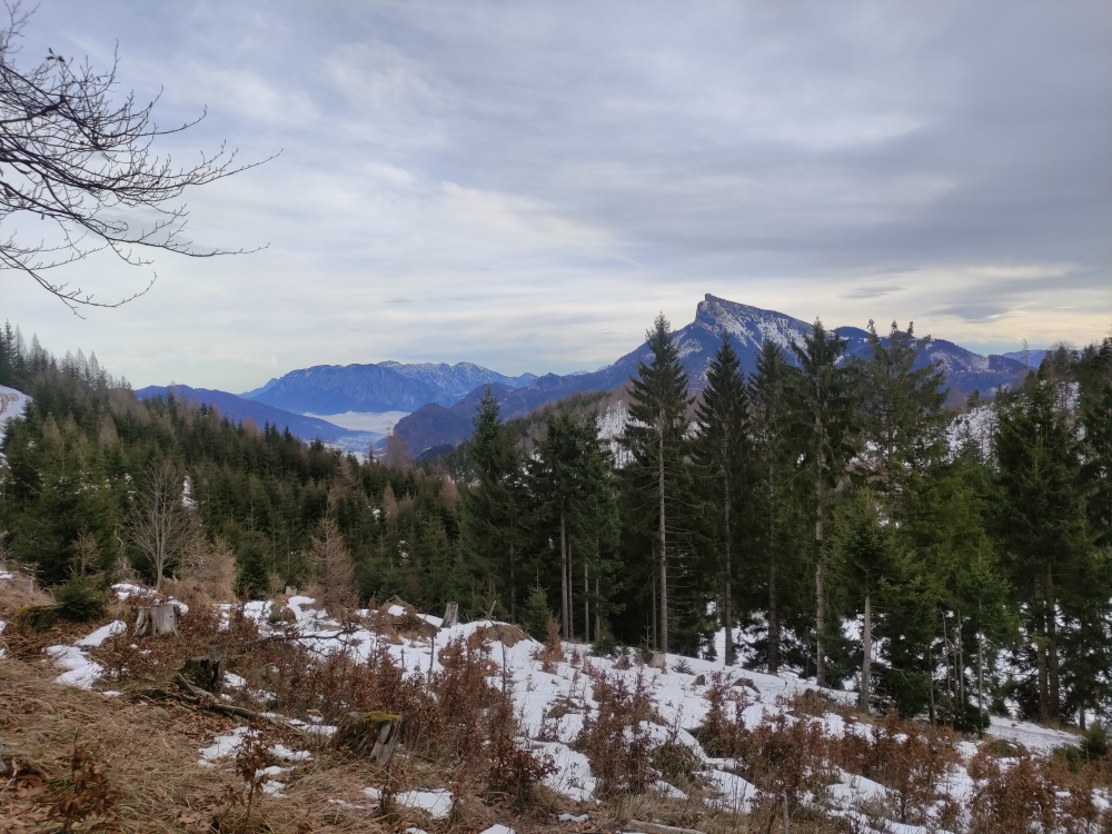 Wanderung Almkogel: Blick zum Schafberg