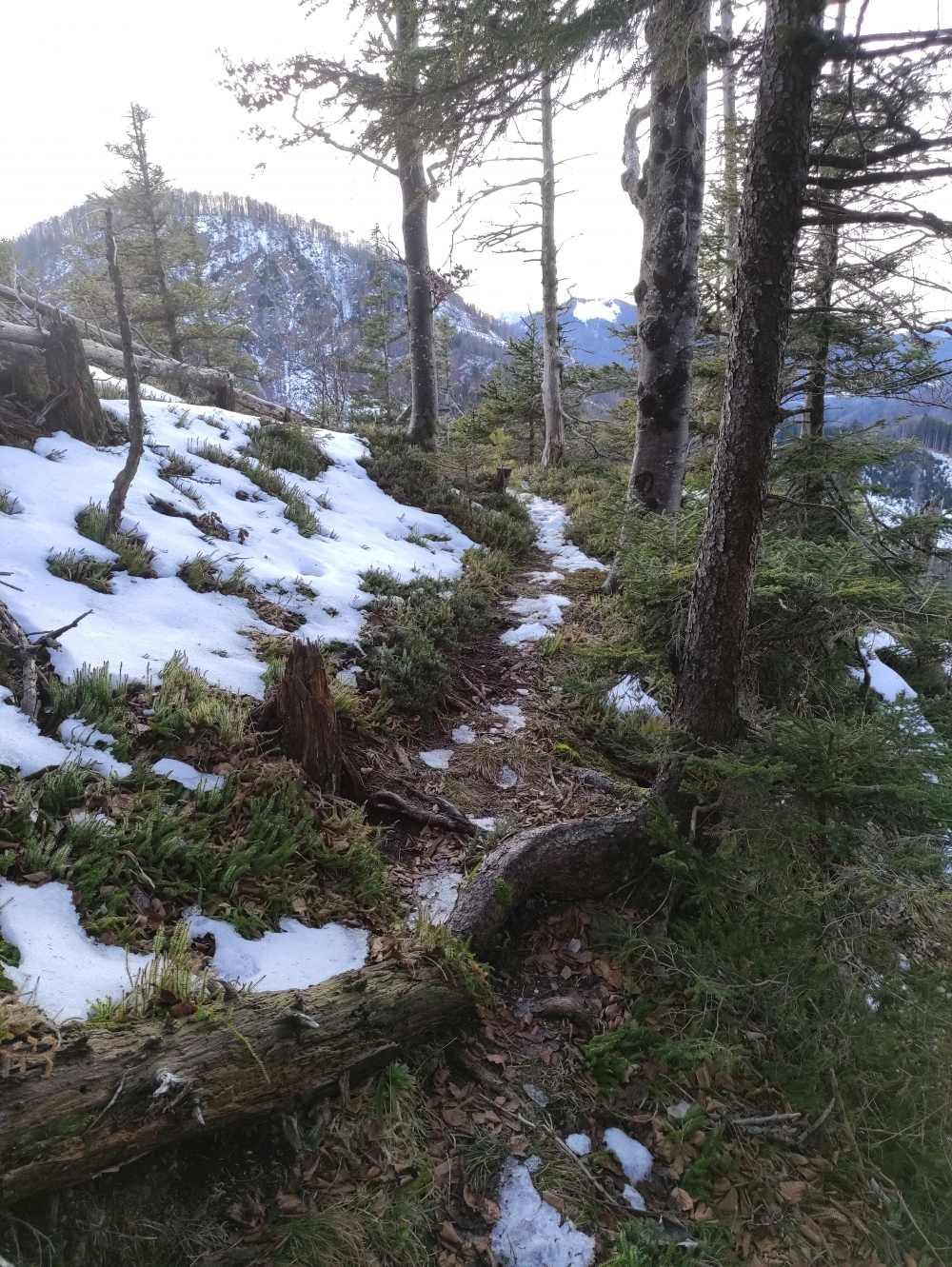 Wanderung Almkogel: Weg