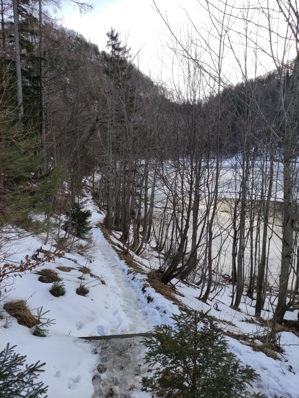 Wanderung Almkogel: Weg am Ostufer