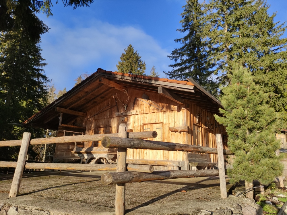 Wanderung Branderschrofen: Wanderung Branderschrofen: Alpe Reith