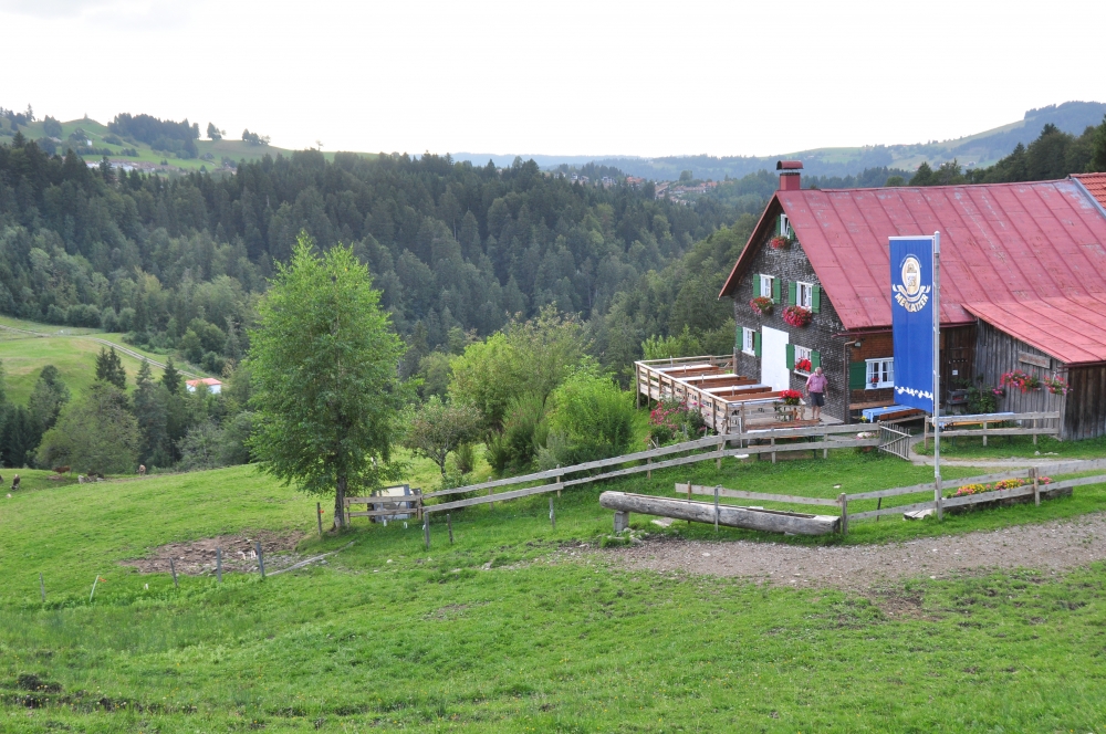 Wanderung Buchenegger Wasserfälle: Wanderung Buchenegger Wasserfälle: Alpe Neugreuth