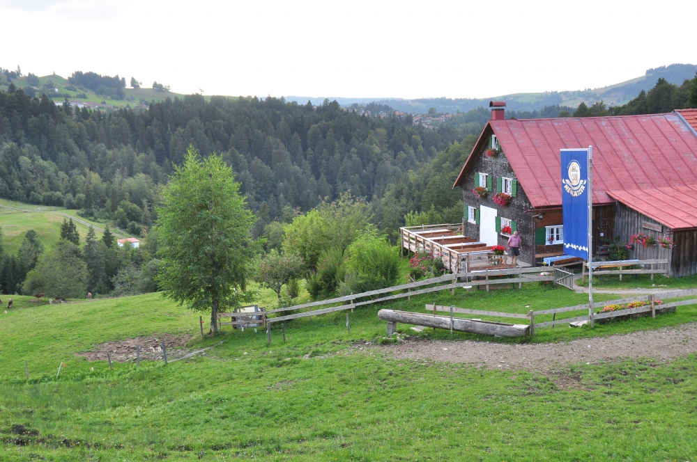 Alpe Neugreuth -> Buchenegger Wasserfälle: Alpe Neugreuth