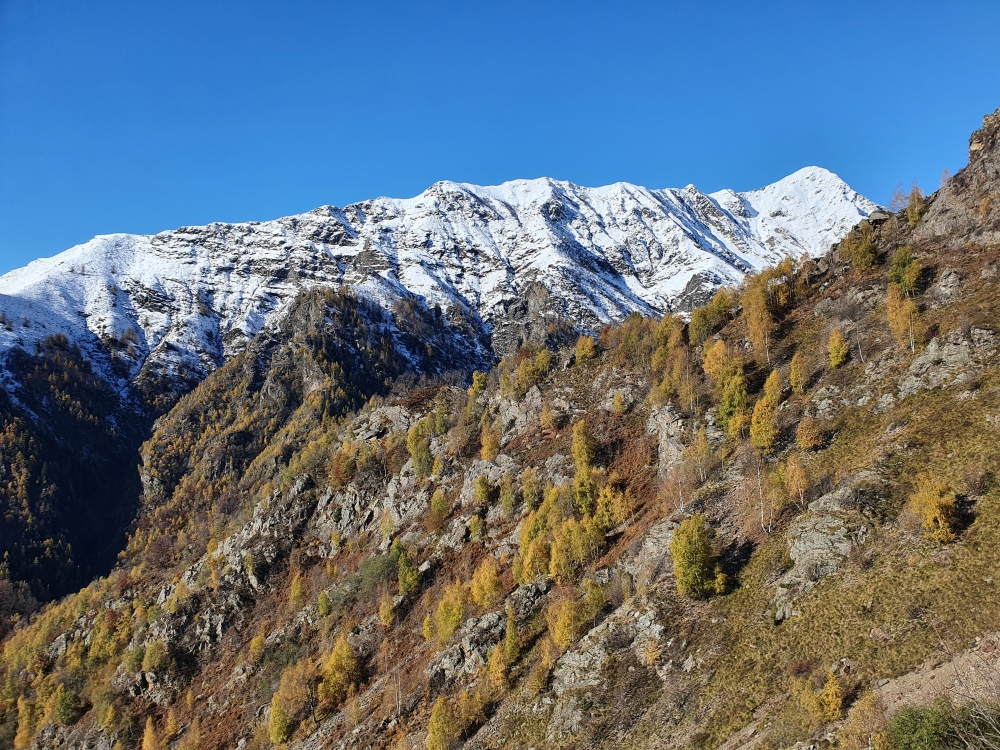 Alpe Vegliana -> Parkplatz 105652: 