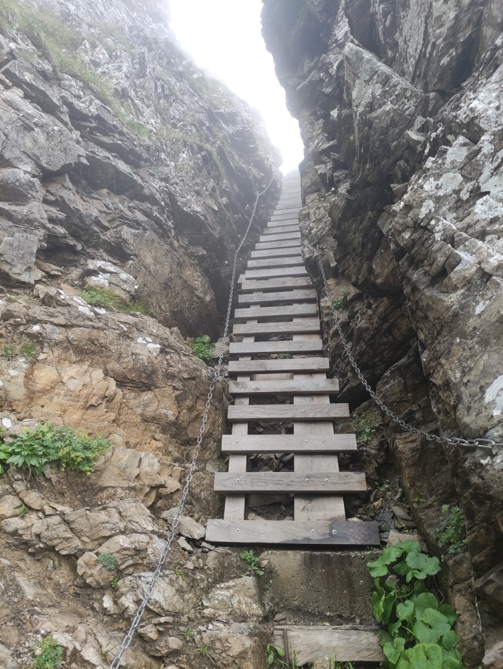 Wanderung Alvier: Aufstieg mit Holzleiter
