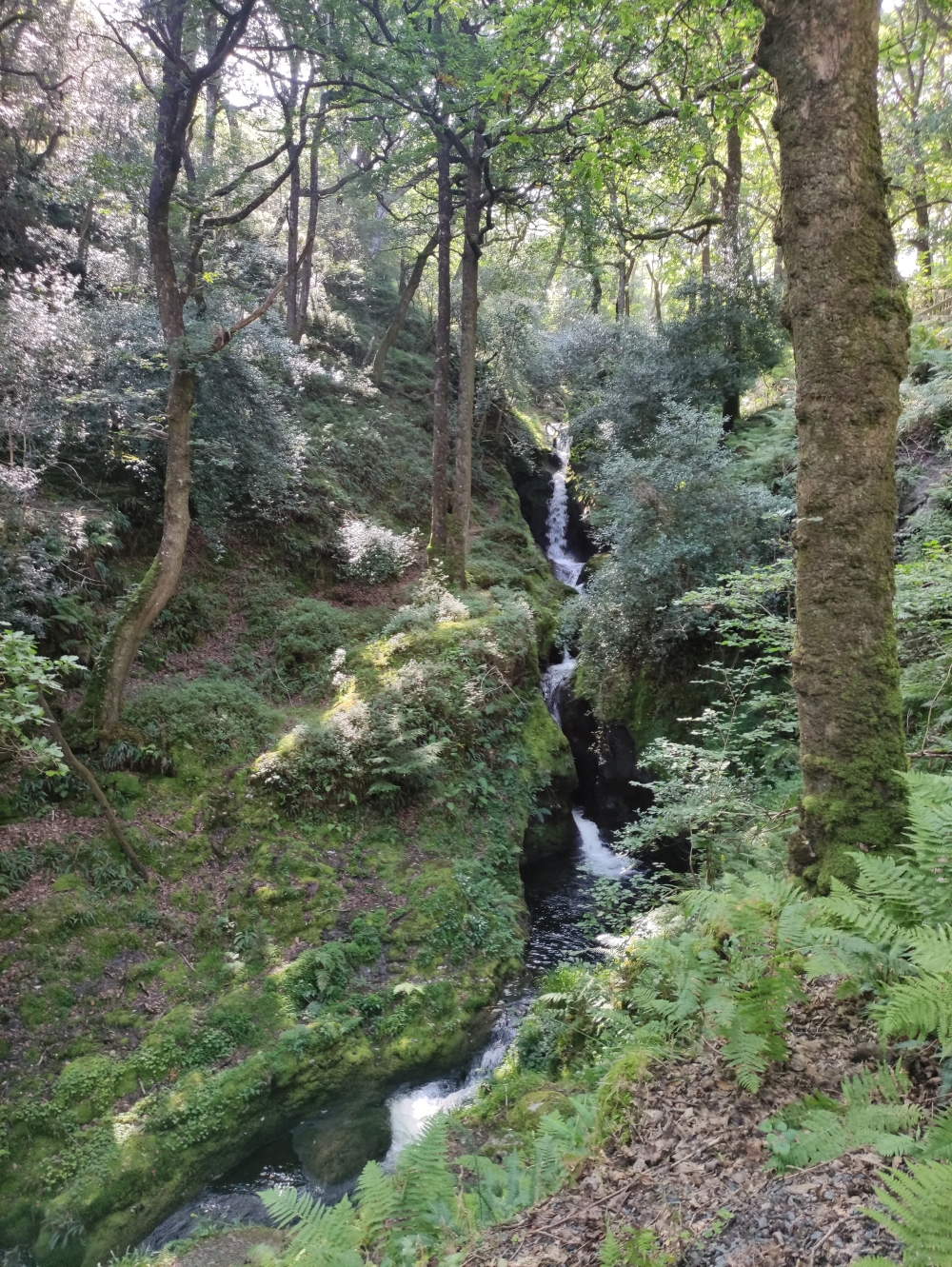 Wanderung The Spinc Loop: Poulanass Waterfall