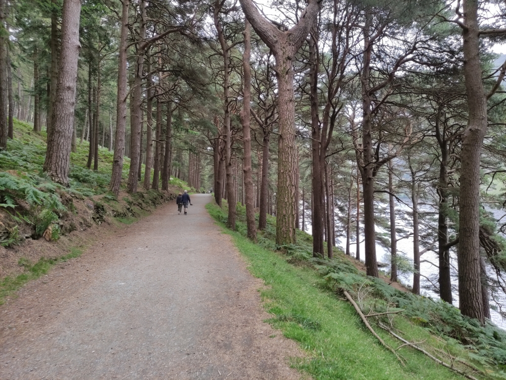 Wanderung The Spinc Glendalough Loop: Uferstraße