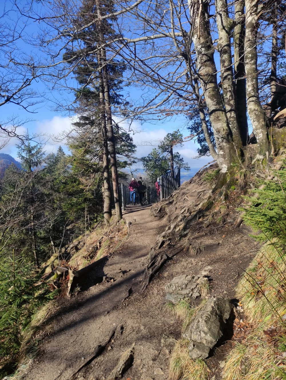 Wanderung Branderschrofen: Wanderung Branderschrofen: Aussichtspunkt (Aussichtspunkt 88901)