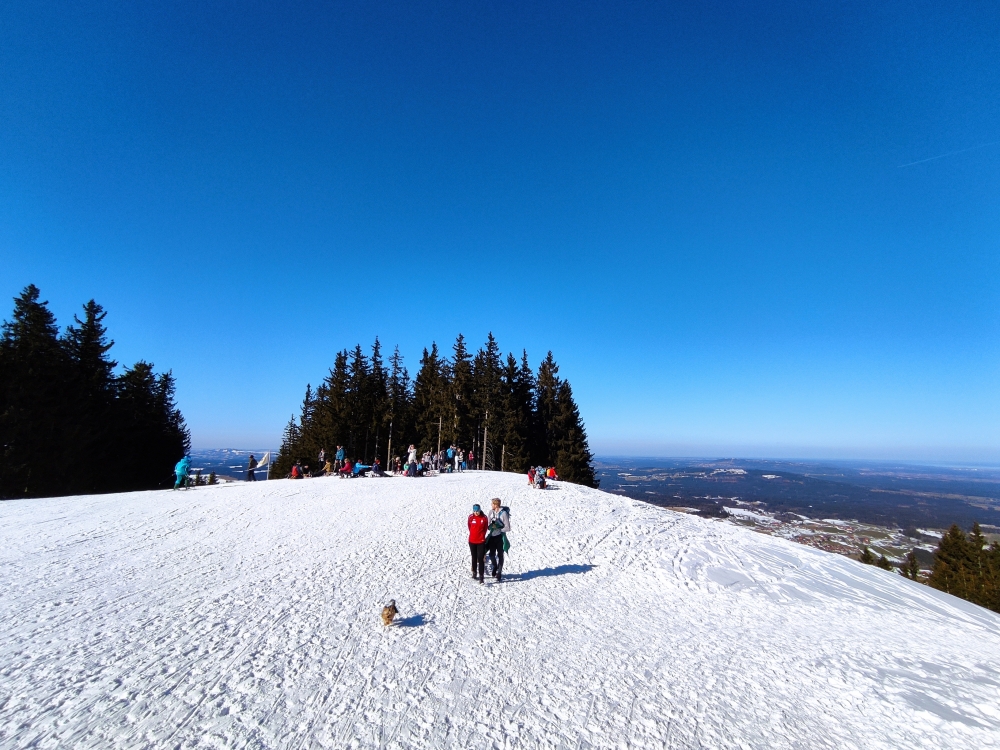Aussichtspunkt Hörnleabfahrt: Rast am Rodelaufstieg
