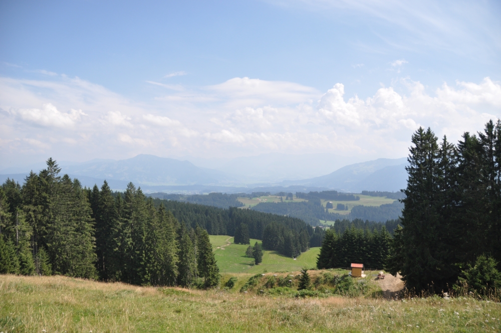 Aussichtsturm Hauchenberg -> Höfle Alpe: Auf dem Weg zum Aussichtsturm