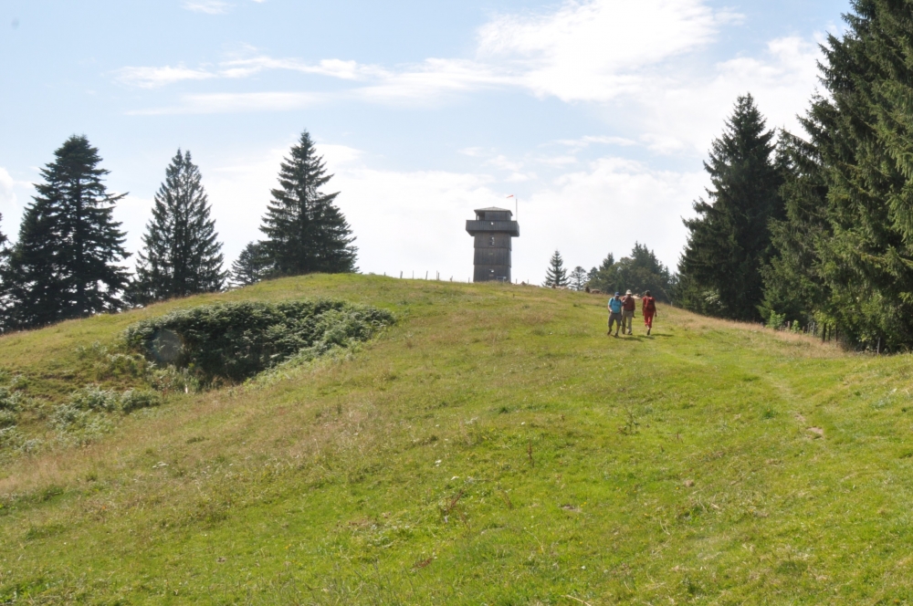Aussichtsturm Hauchenberg -> Klings Hütte: Der Aussichtsturm