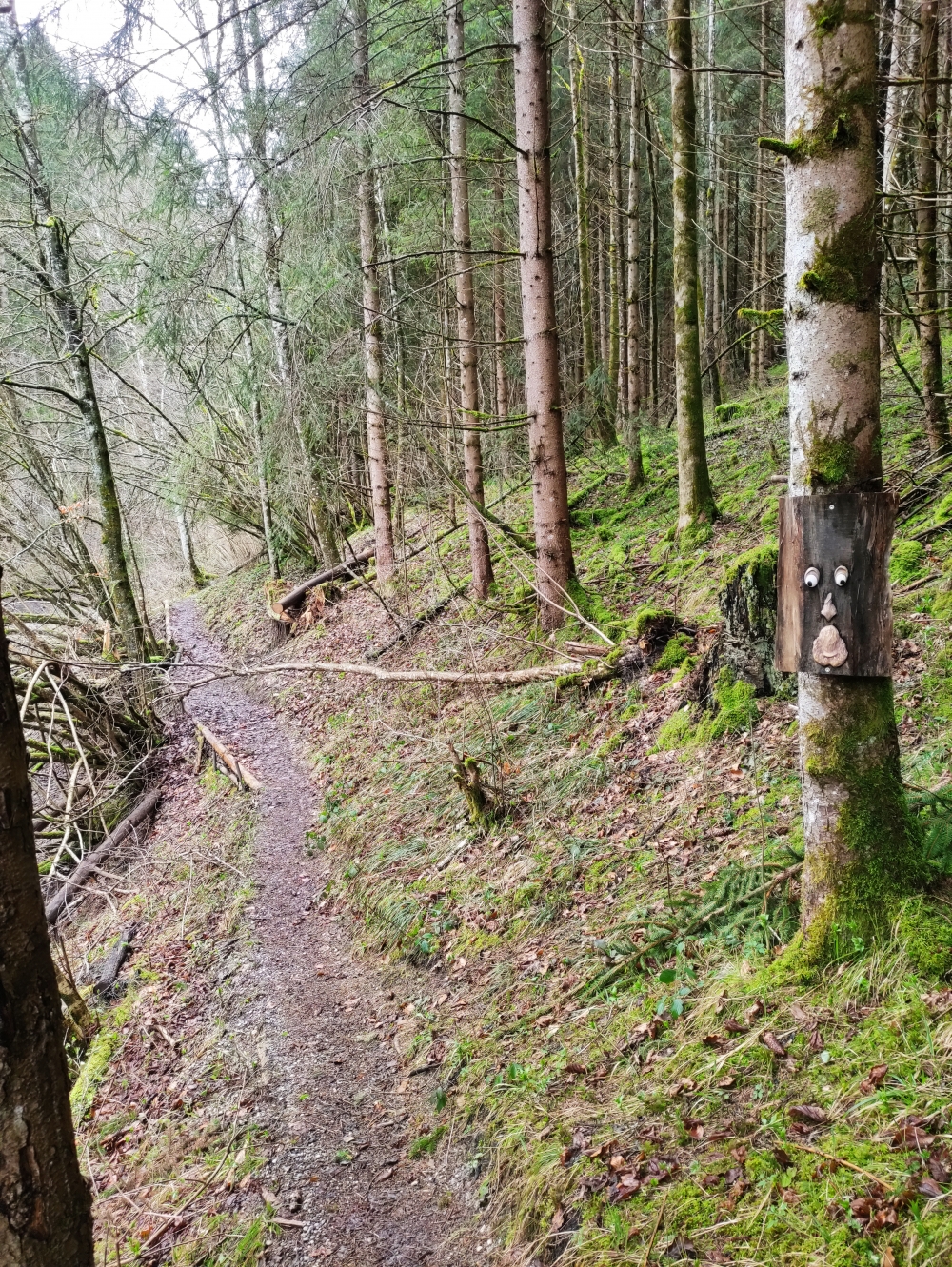 Tiefentalschlucht -> Badeplatz Roßhaupten: In der Tiefentalschlucht