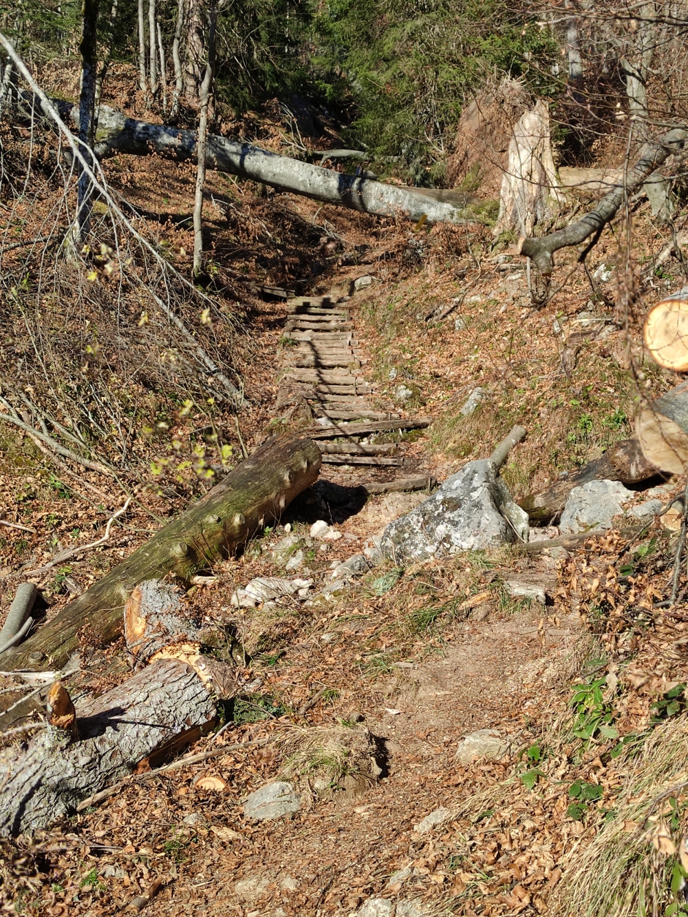 Wanderung Berchtesgadener Hochthron: Weg
