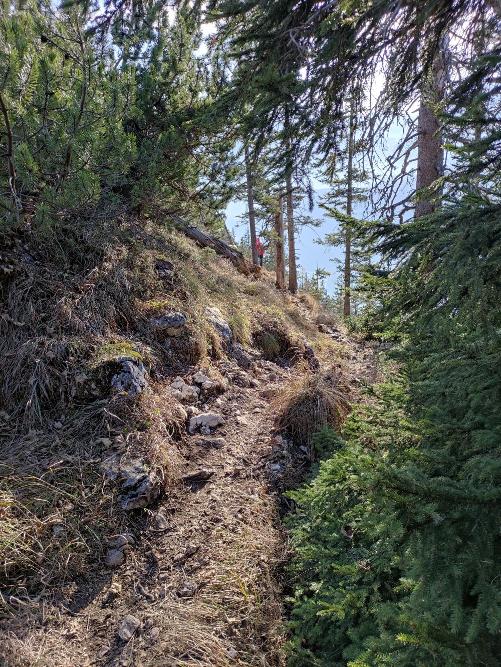 Wanderung Berchtesgadener Hochthron: Weg