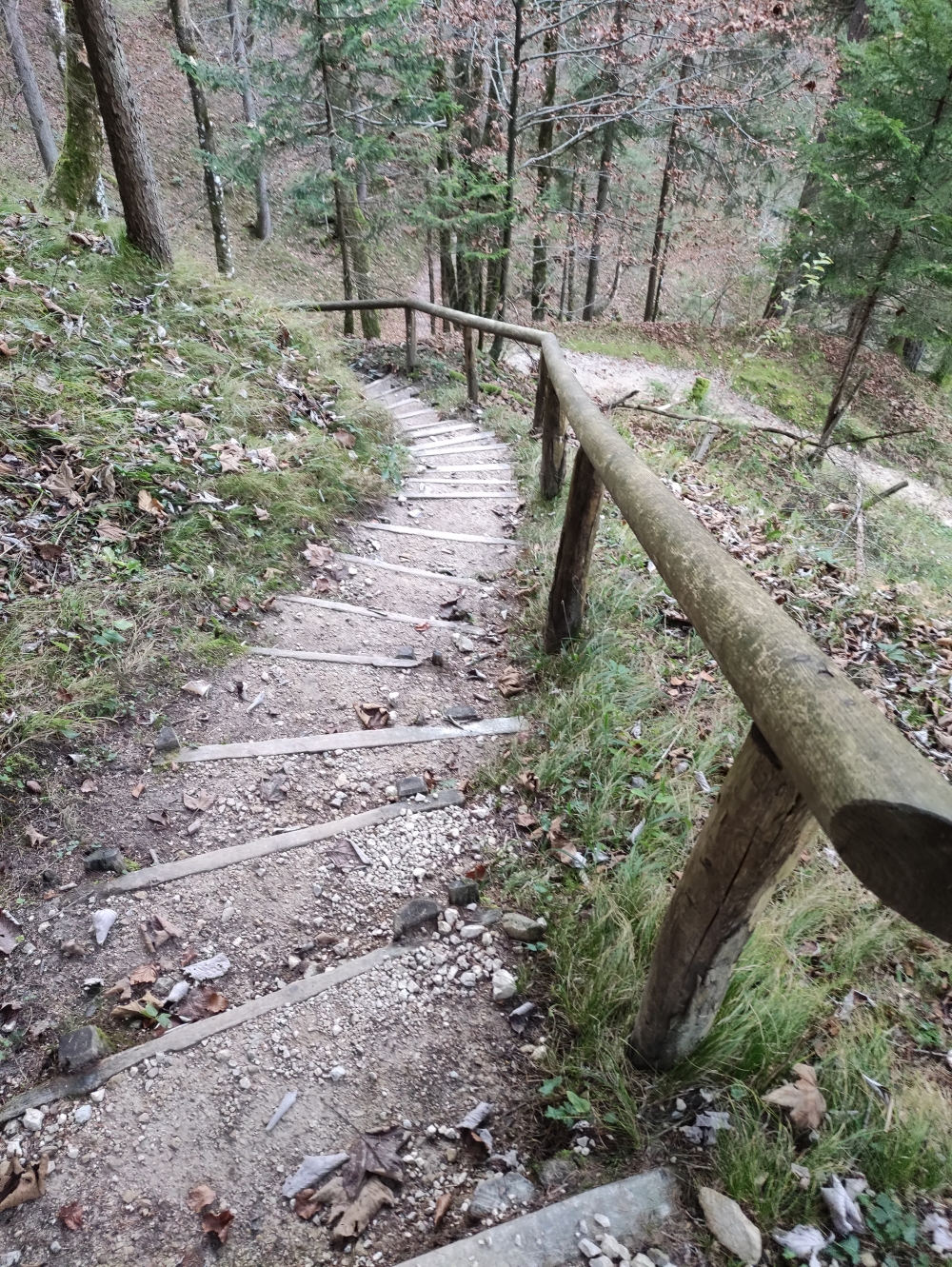 Wanderung Berchtesgadener Hochthron: Abstieg zur Almbachklamm