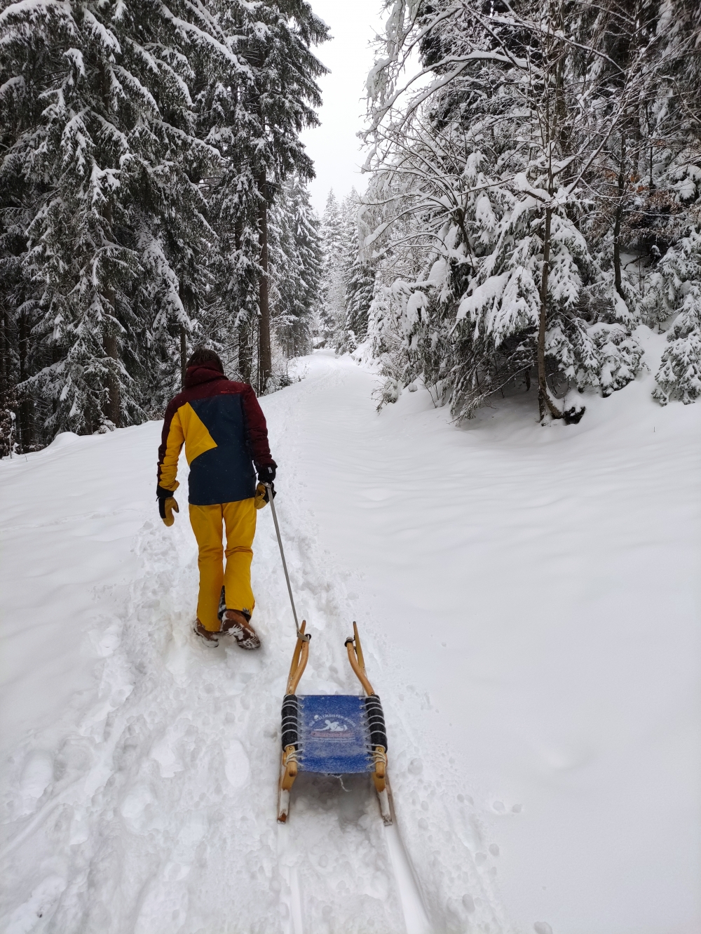Rodeln Neureuth von Gasse/Gmund: Im Winter mit Schlitten