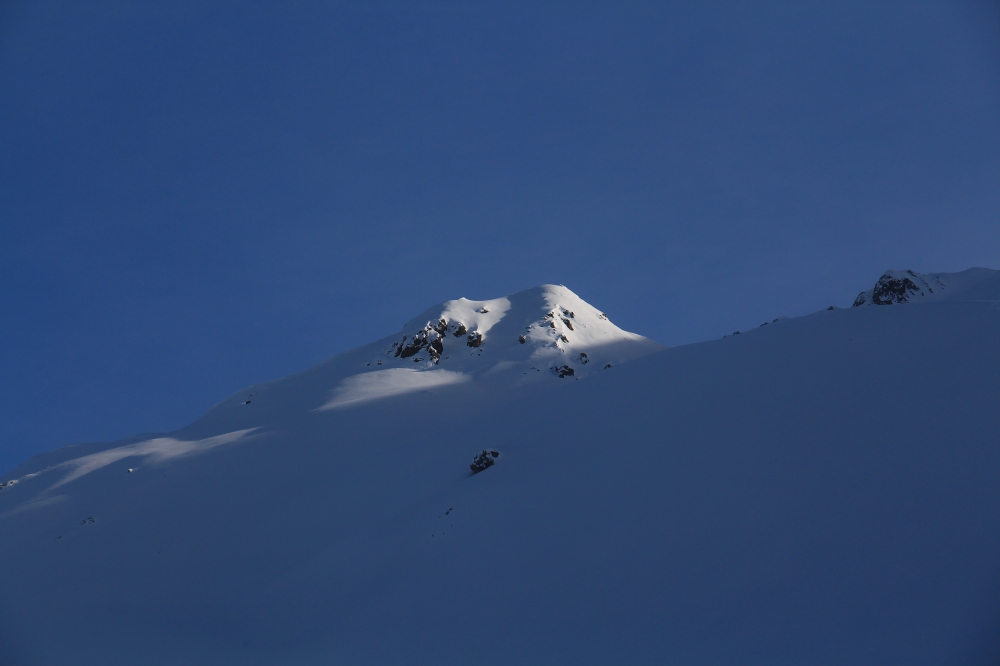 Bischofer: Bischofer im Sarntaler Ostkamm