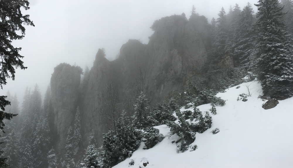 Bodenschneid Türme -> Josefstaler Wasserfälle 2: Mystisch liegen die Bodenschneid Türme im Nebel
