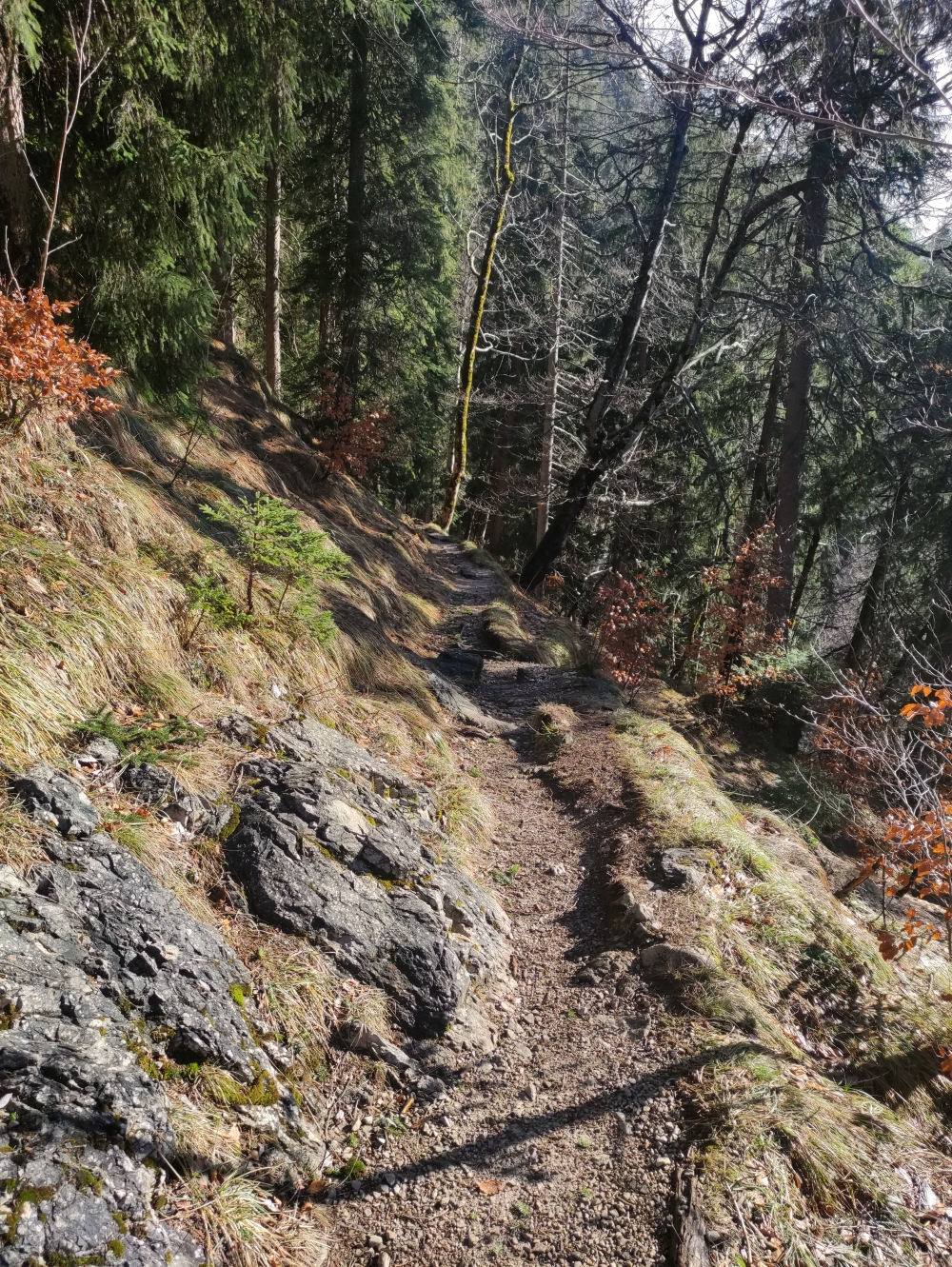 Wanderung Branderschrofen: Wanderweg