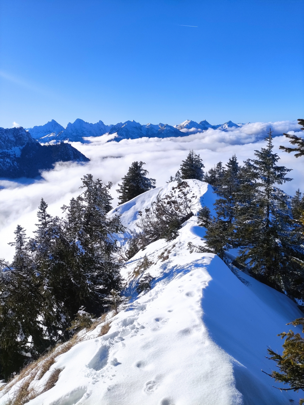 Wanderung Branderschrofen: Tegelberggrat
