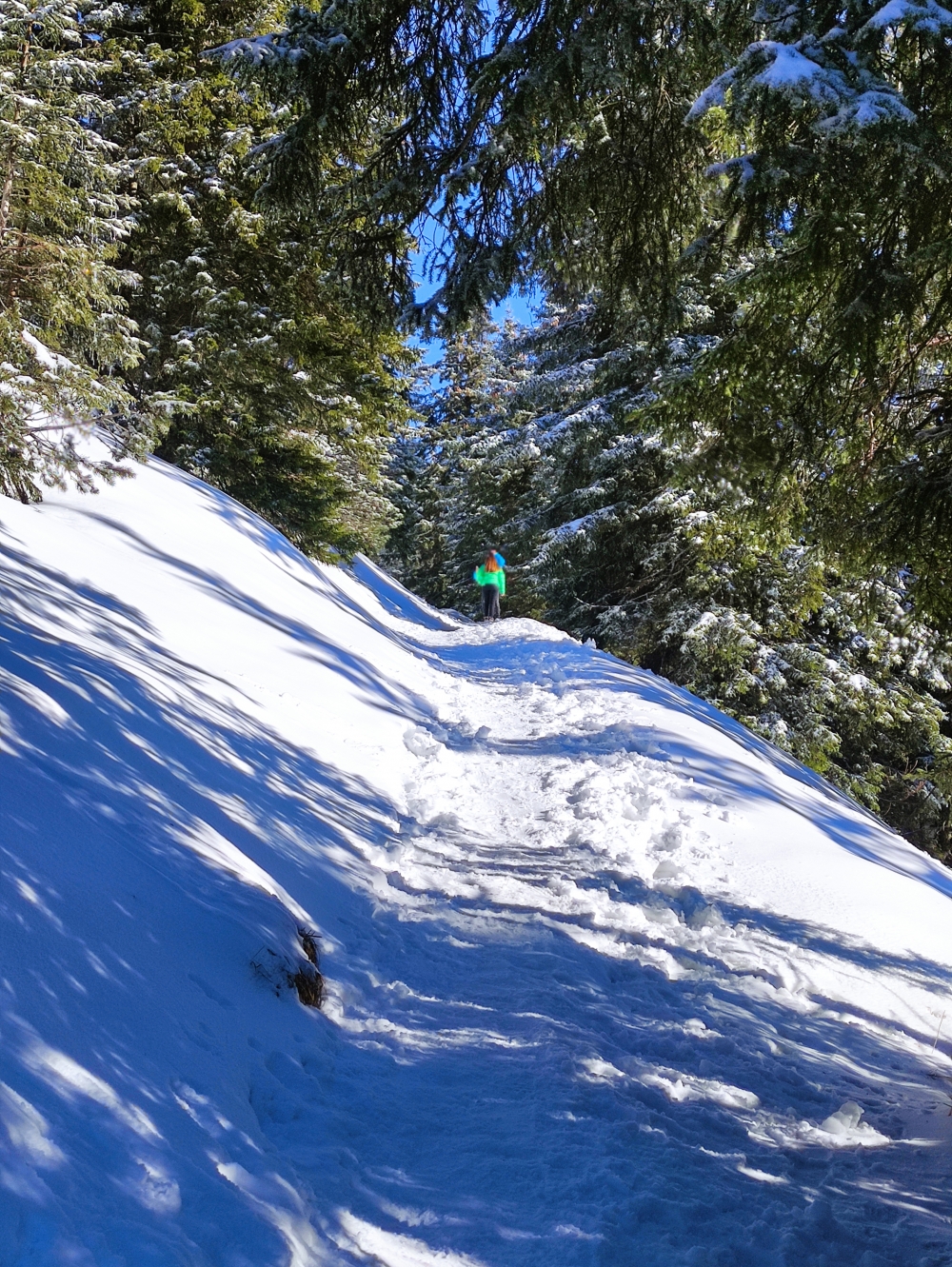 Wanderung Branderschrofen: Leichter Aufstieg