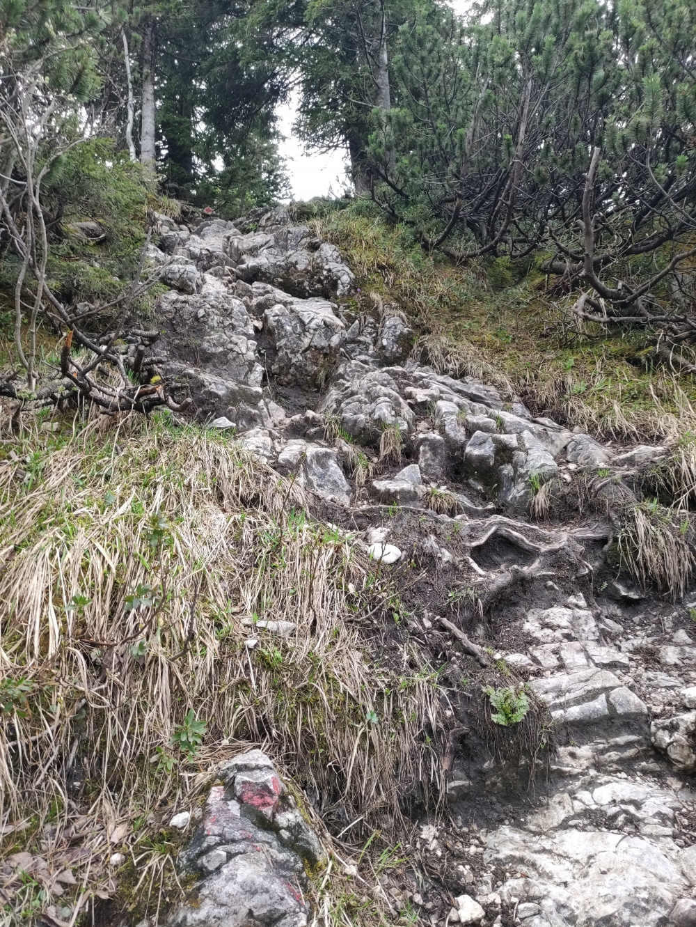 Wanderung Große Brecherspitz-Runde: Leicht kraxelig zur Kapelle