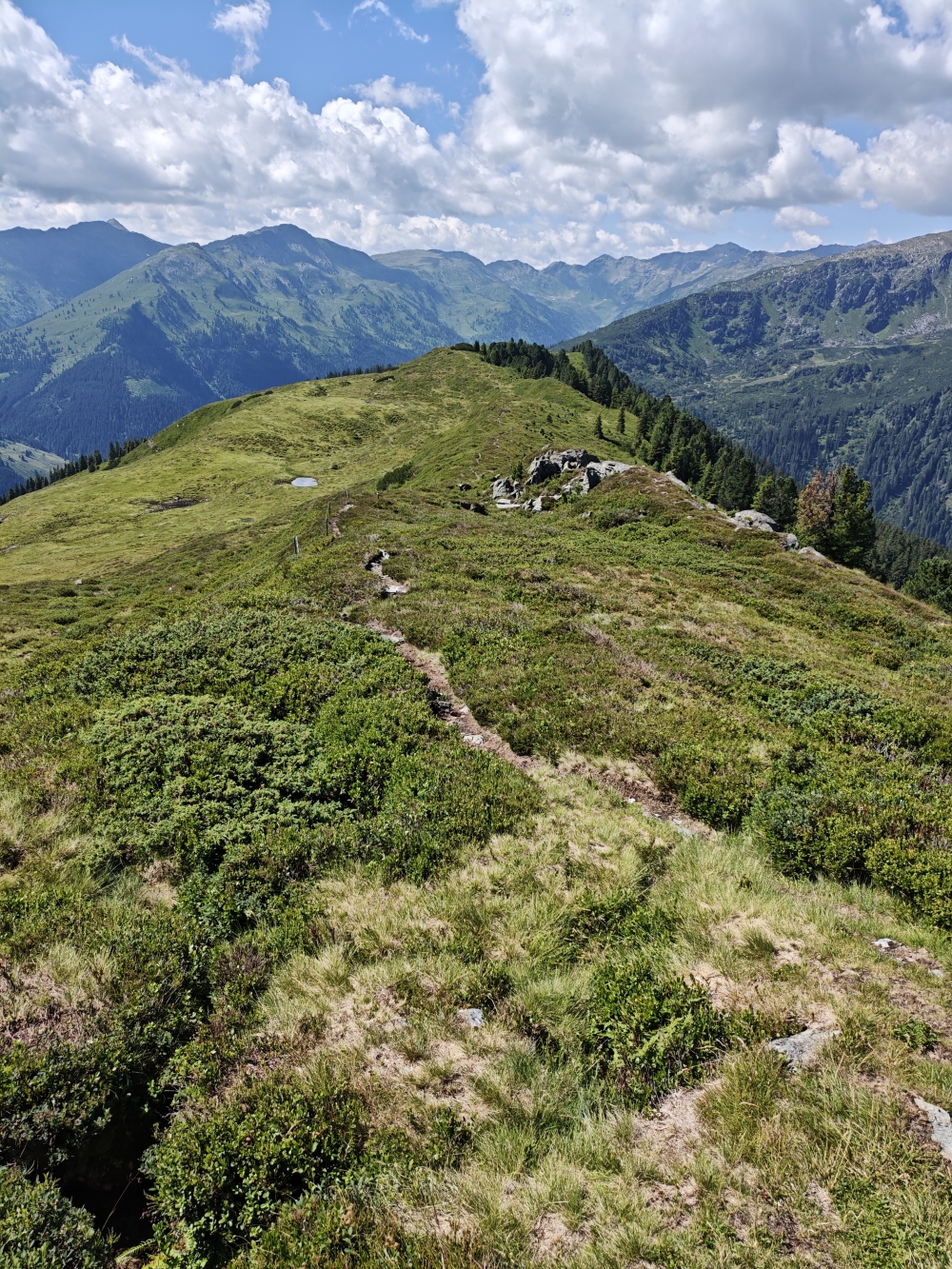 Wanderung Breiteggspitze: Wanderung Breiteggspitze: Blick auf den Kamm zum Hengstkogel (Breiteggspitze)