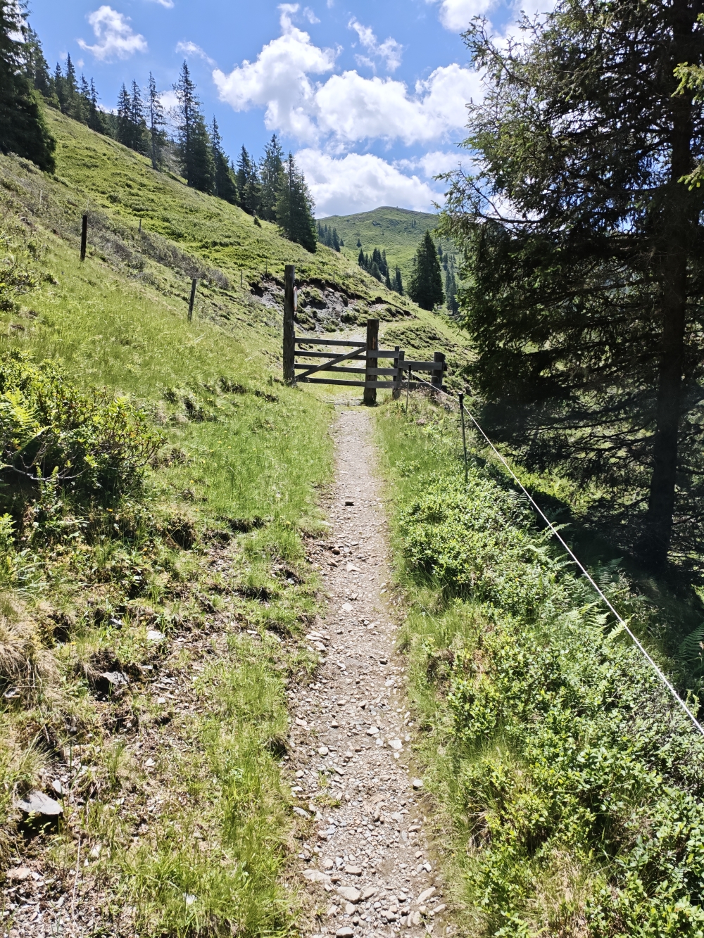 Wanderung Breiteggspitze: Weg