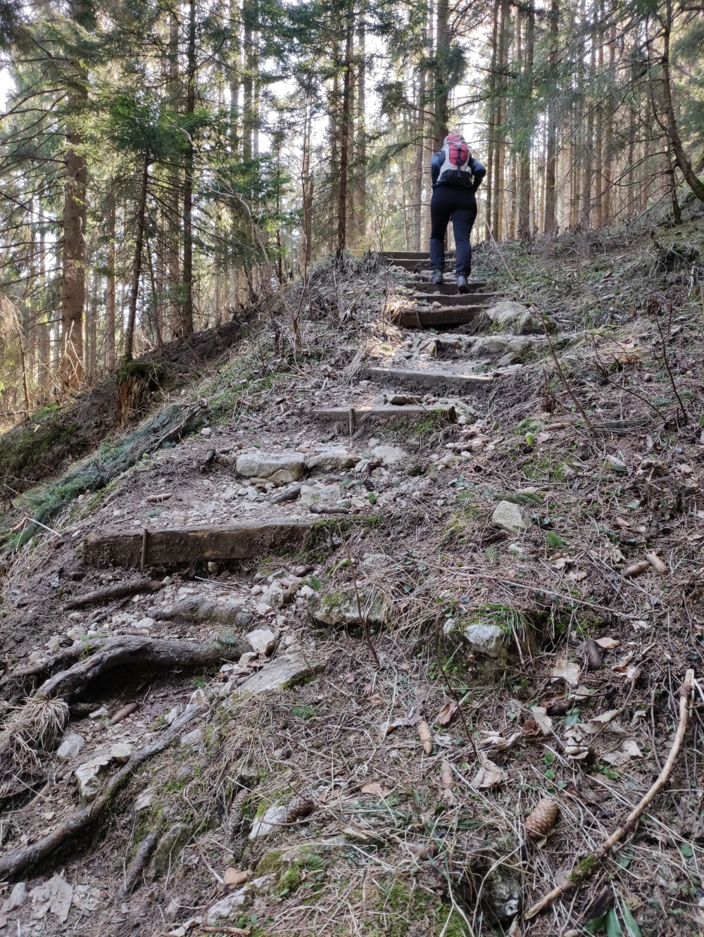 Ein steiler, alter Pfad "Hubert-Stürzl-Steig"