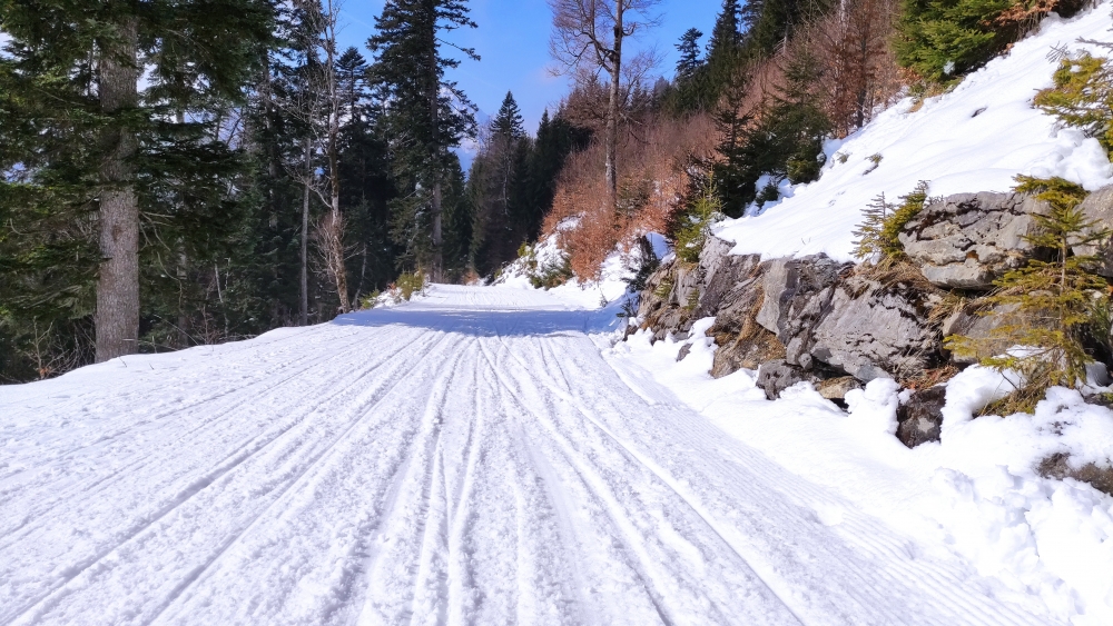 Rodeln Breitenberg: Rodelbahn