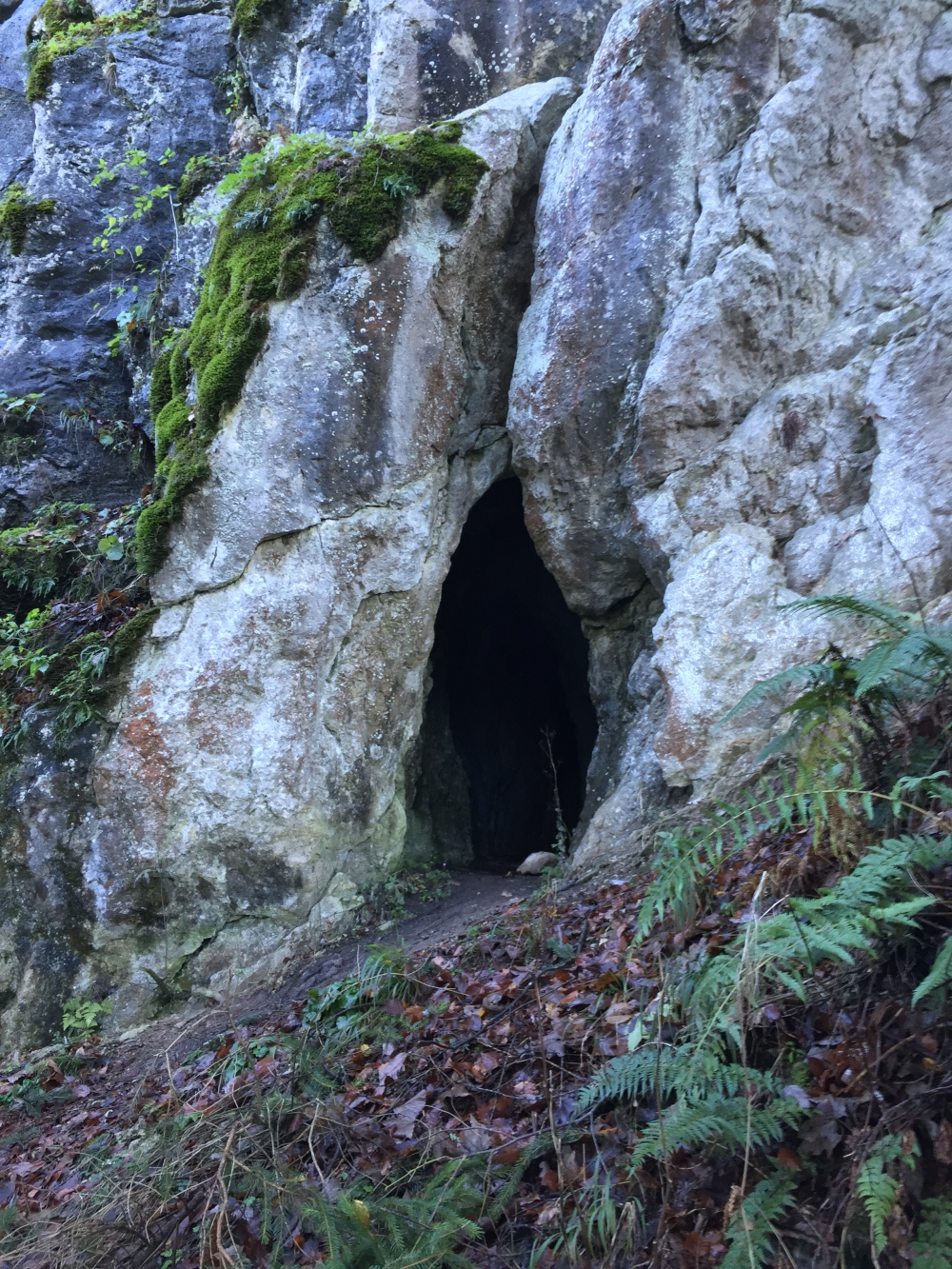 Eingang in die Höhle (Höhle im Schwarzenberg)