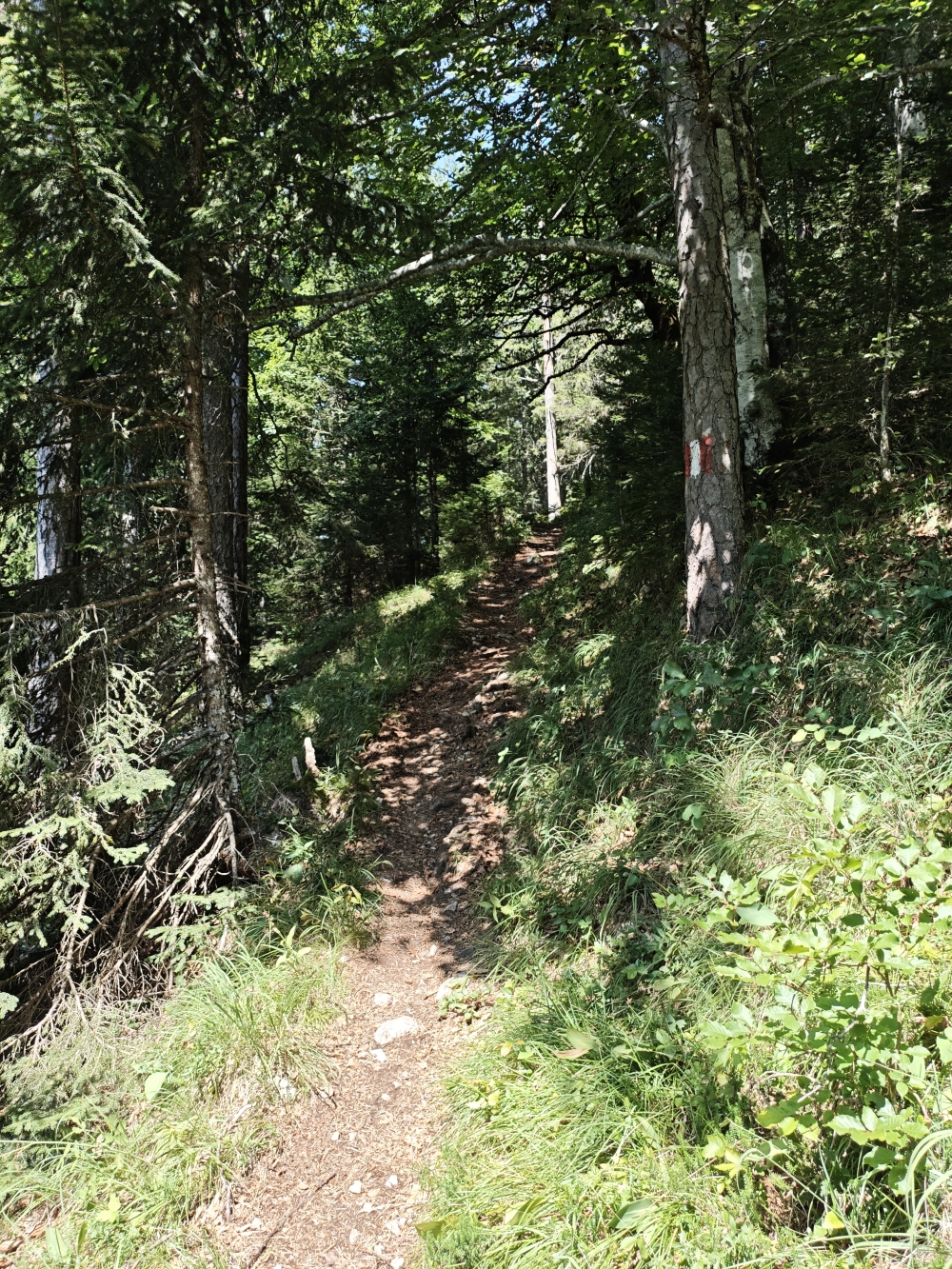 Wanderung Brunnsteinspitze: Weg