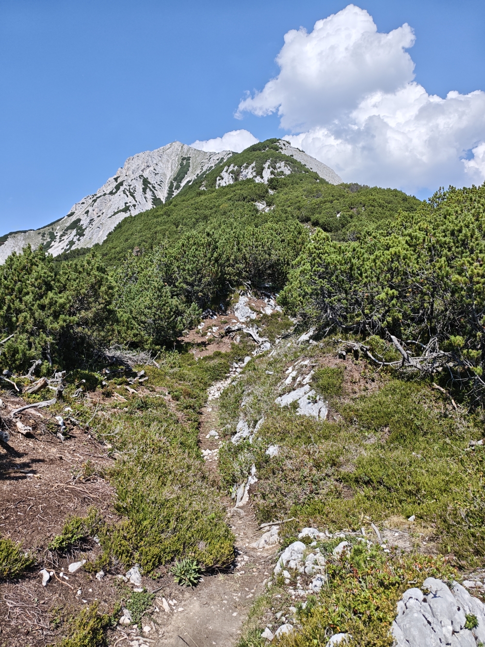 Wanderung Brunnsteinspitze: Aufstieg 