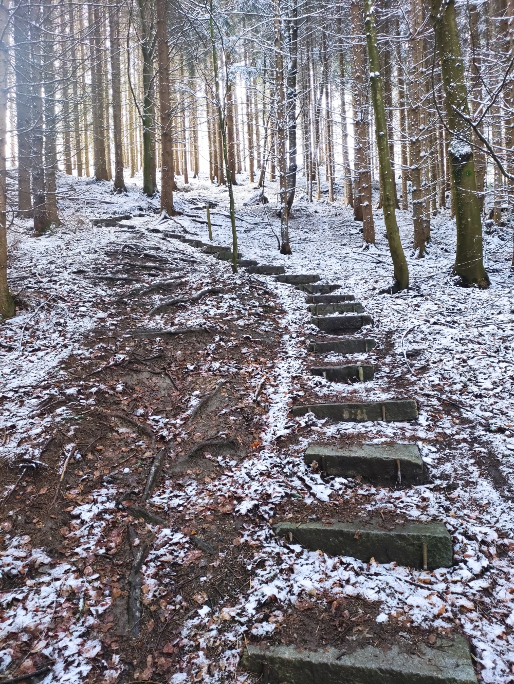 Wanderung Buch: Stufen auf dem Schützensteig