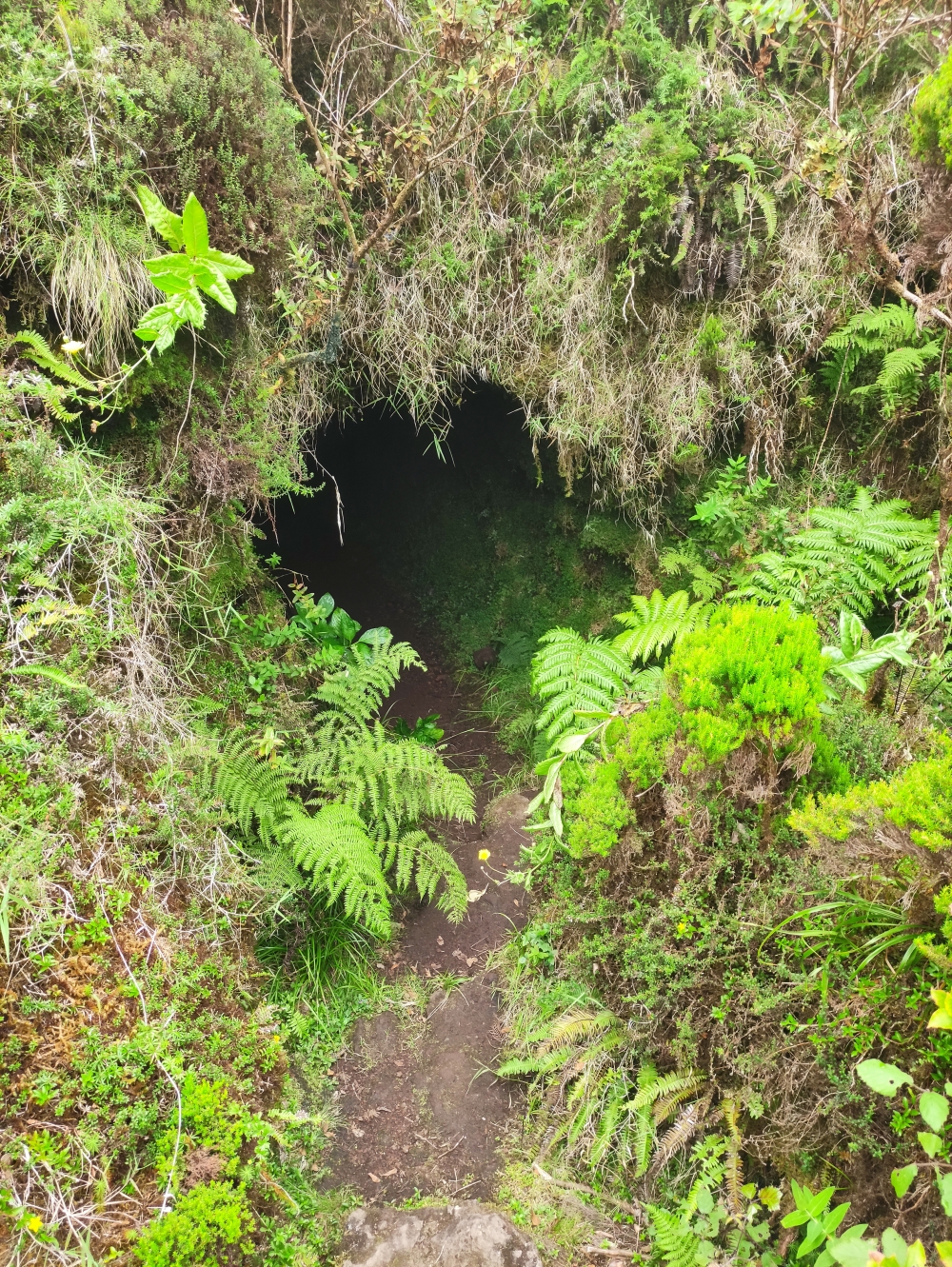 Durch den Tunnel in den Krater