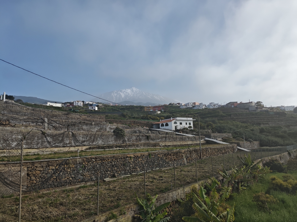 Camino del Risco de las Pencas -> Camino de los Difuntos: Sonnenterrassen