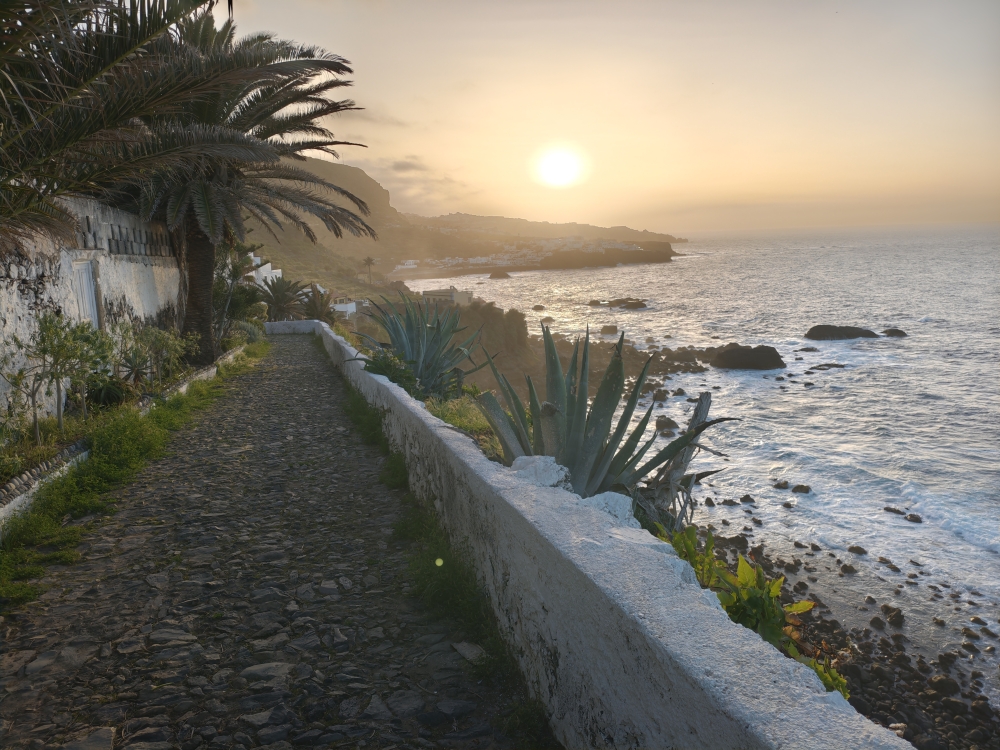Camino Ribera del Mar -> Barranco de Ruiz: Durch La Rambla zurück