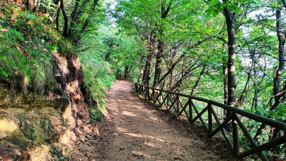 Wanderung Castello di Buccione: Wanderung Castello di Buccione: Breiter Wanderweg