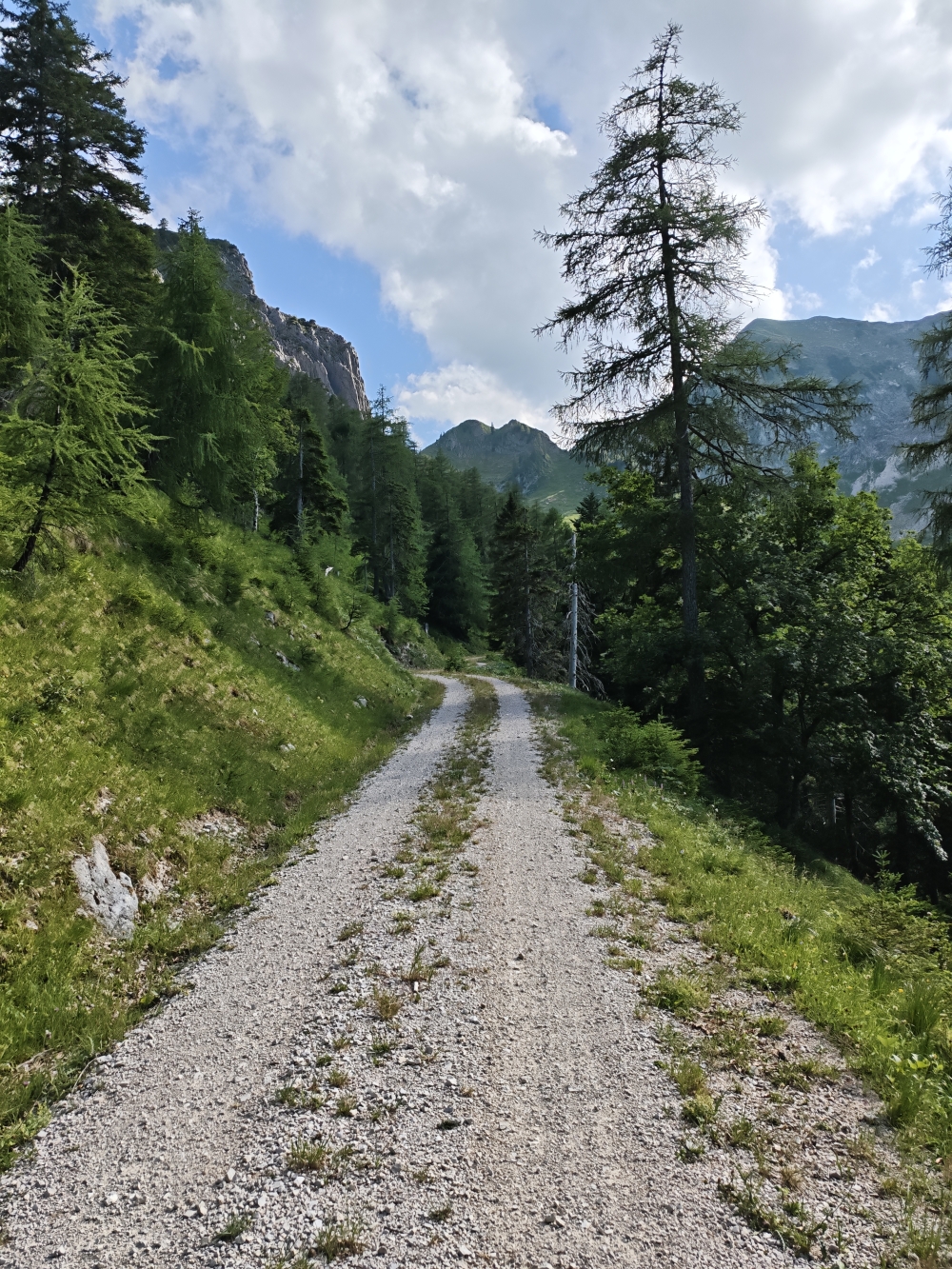Bike & Hike Christlumkopf: Auffahrt mit Blick auf die Schreckenspitze (rechts)