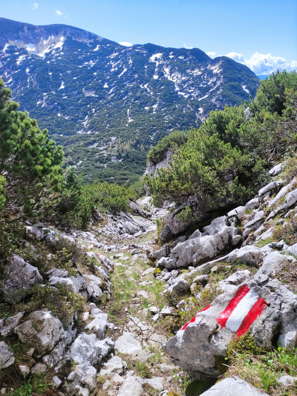 Wanderung Hochleckenhaus zur Christophorushütte: Blick in den Pfaffengraben