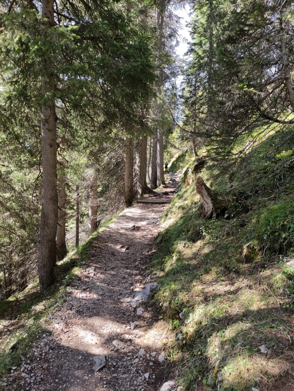 Dalfazalm -> Erfurter Hütte: Leichter Wanderweg mit 'Gütesiegel"