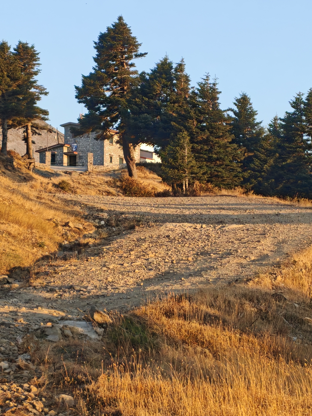 Wanderung Dirfi: Schotterstraße zur Hütte 