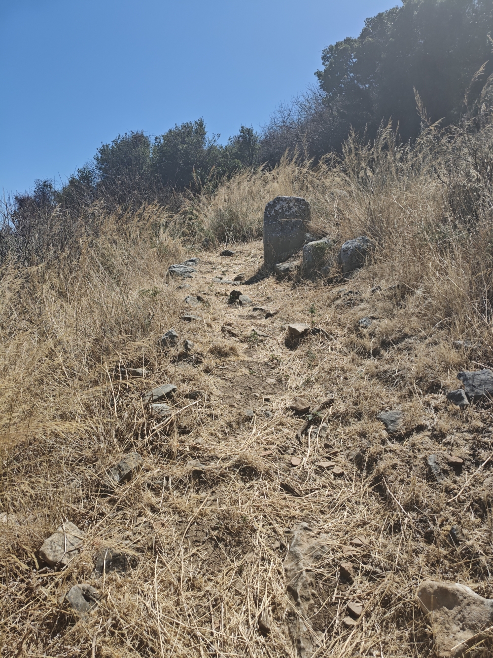 Wanderung Dystos Acropolis: Aufstieg 