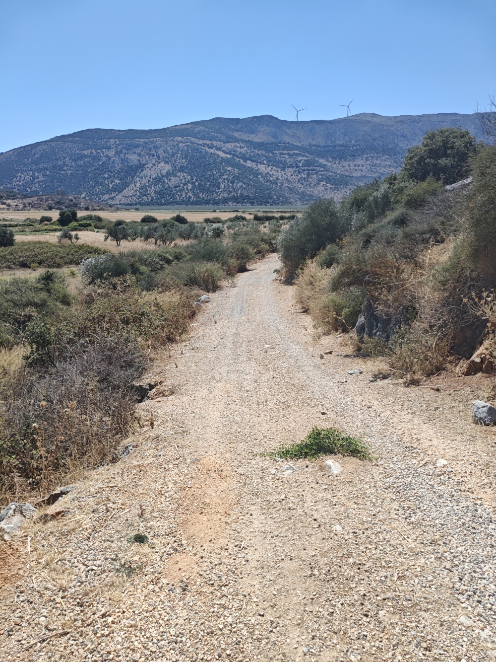 Wanderung Dystos Acropolis: Breite Schotterstraße zwischen Parkplatz und Portal 