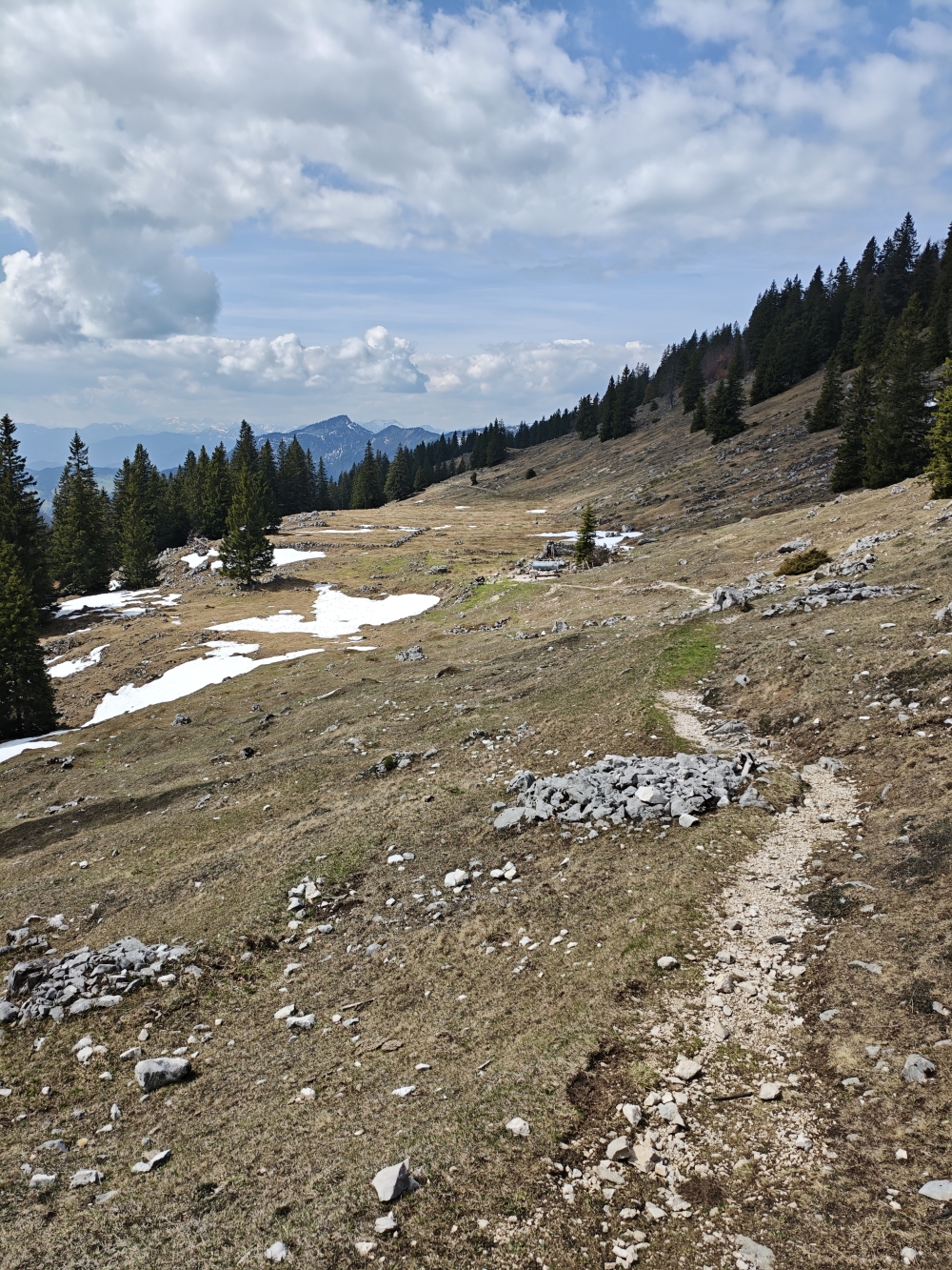 Ehem. Hofbauern Hochalm: Grundmauern der ehemaligen Alm