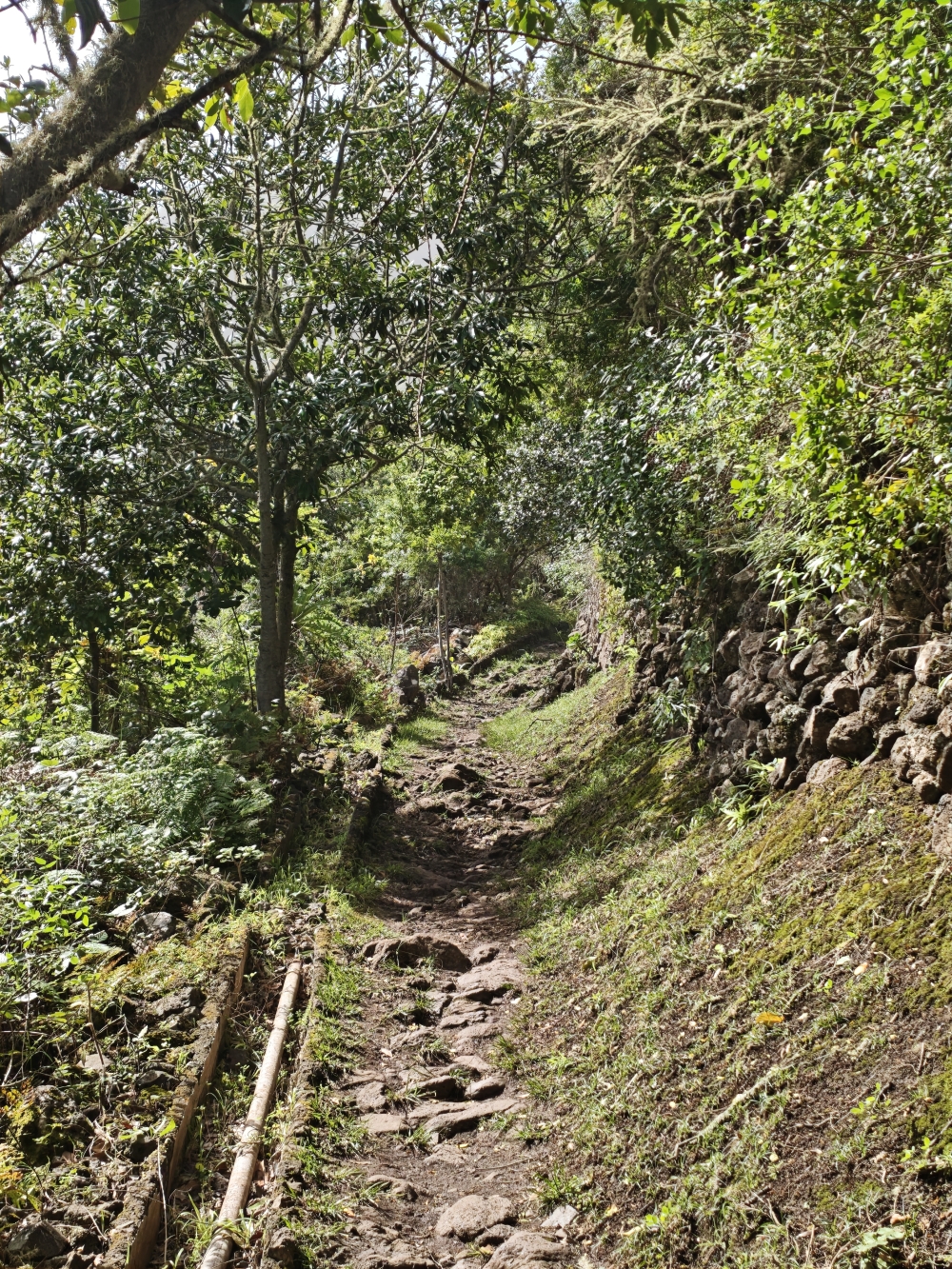 Cuevas Negras -> Canal de Enlace: Aufstieg